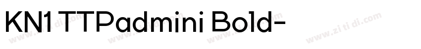 KN1 TTPadmini Bold字体转换